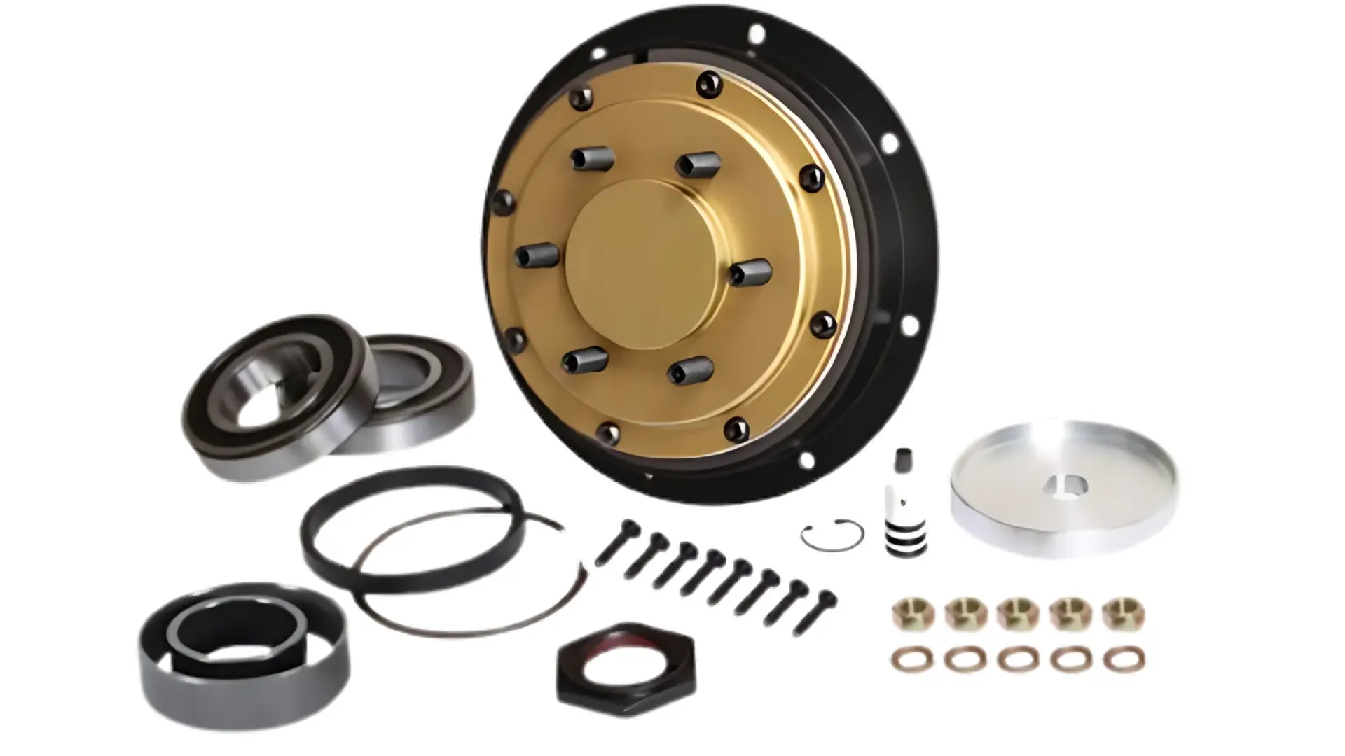 Kit de reparación fan clutch Kit de reparación fan clutch
