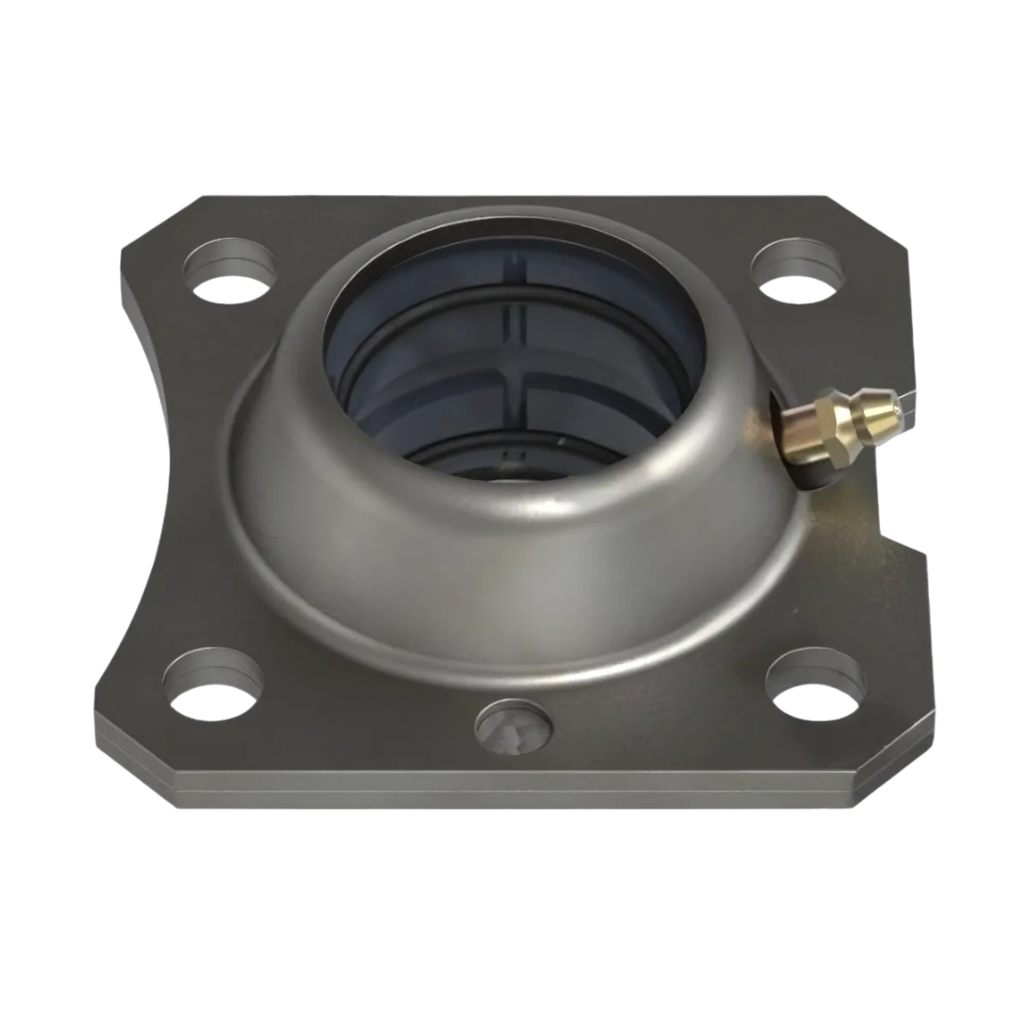 Buje Gavilan Fierro (solo)