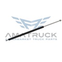 PISTON PARA COFRE FREIGHTLINER CASCADIA P4 A17-20496-001