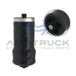 [ABSZ70-6001] BOLSA DE AIRE CABINA KENWORTH T680